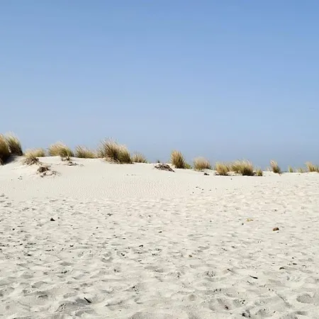 Lägenhet S'arruga 'e Is Portalis *